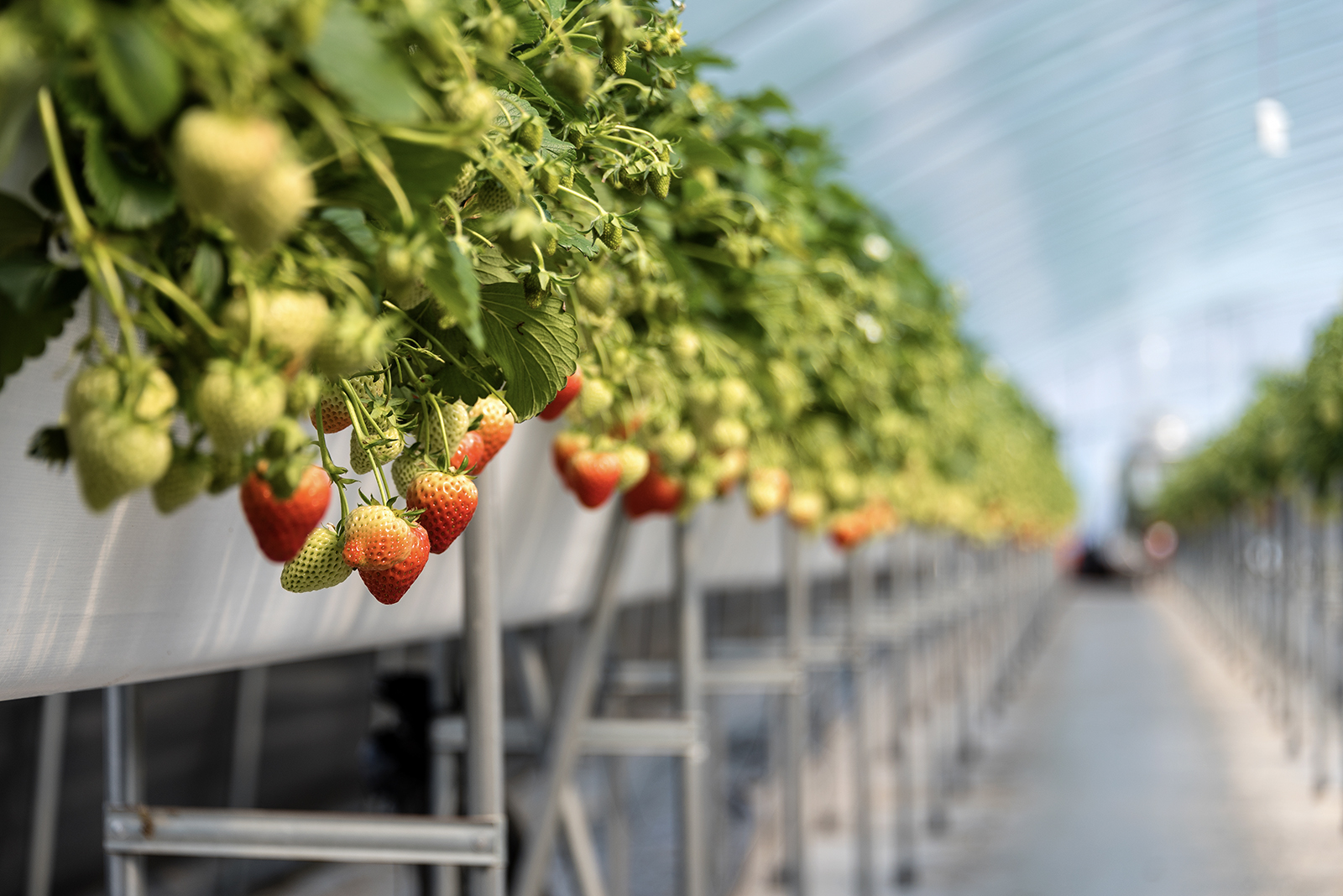 トップページスライド画像